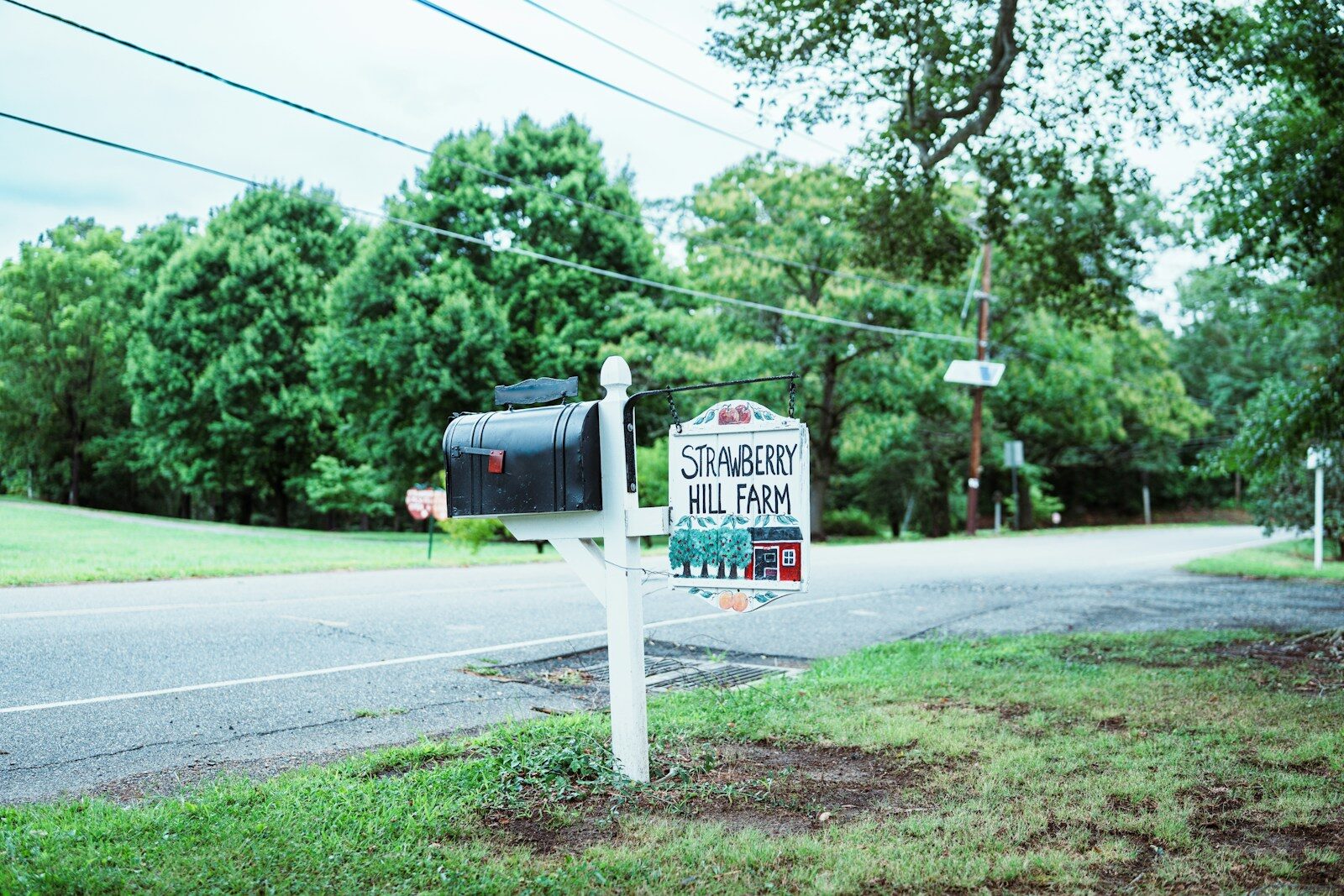 Mailbox and sign for strawberry hill farm